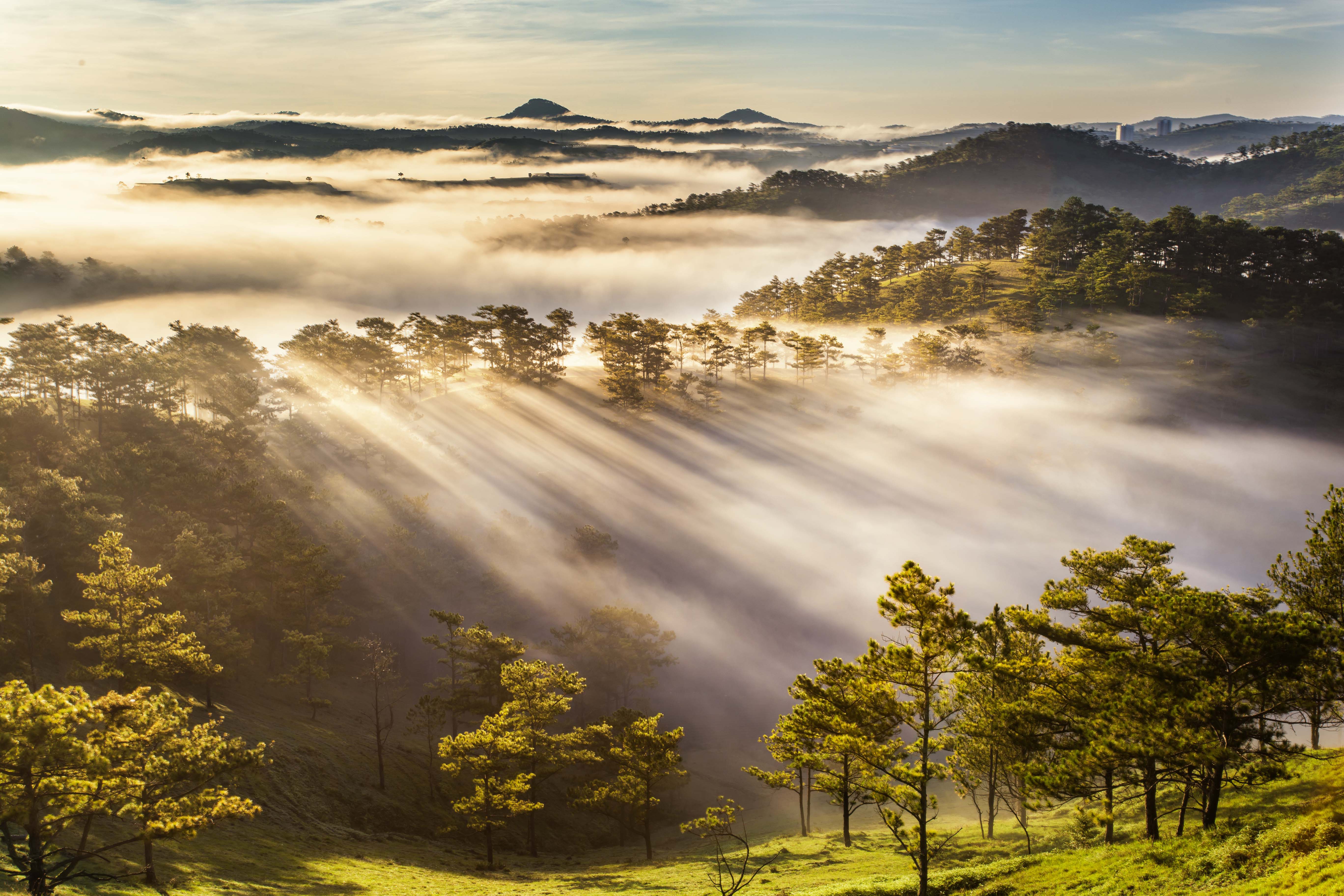 Day tu 3h sang san bien may phu kin Da Lat hinh anh 16 1_17__1.jpg