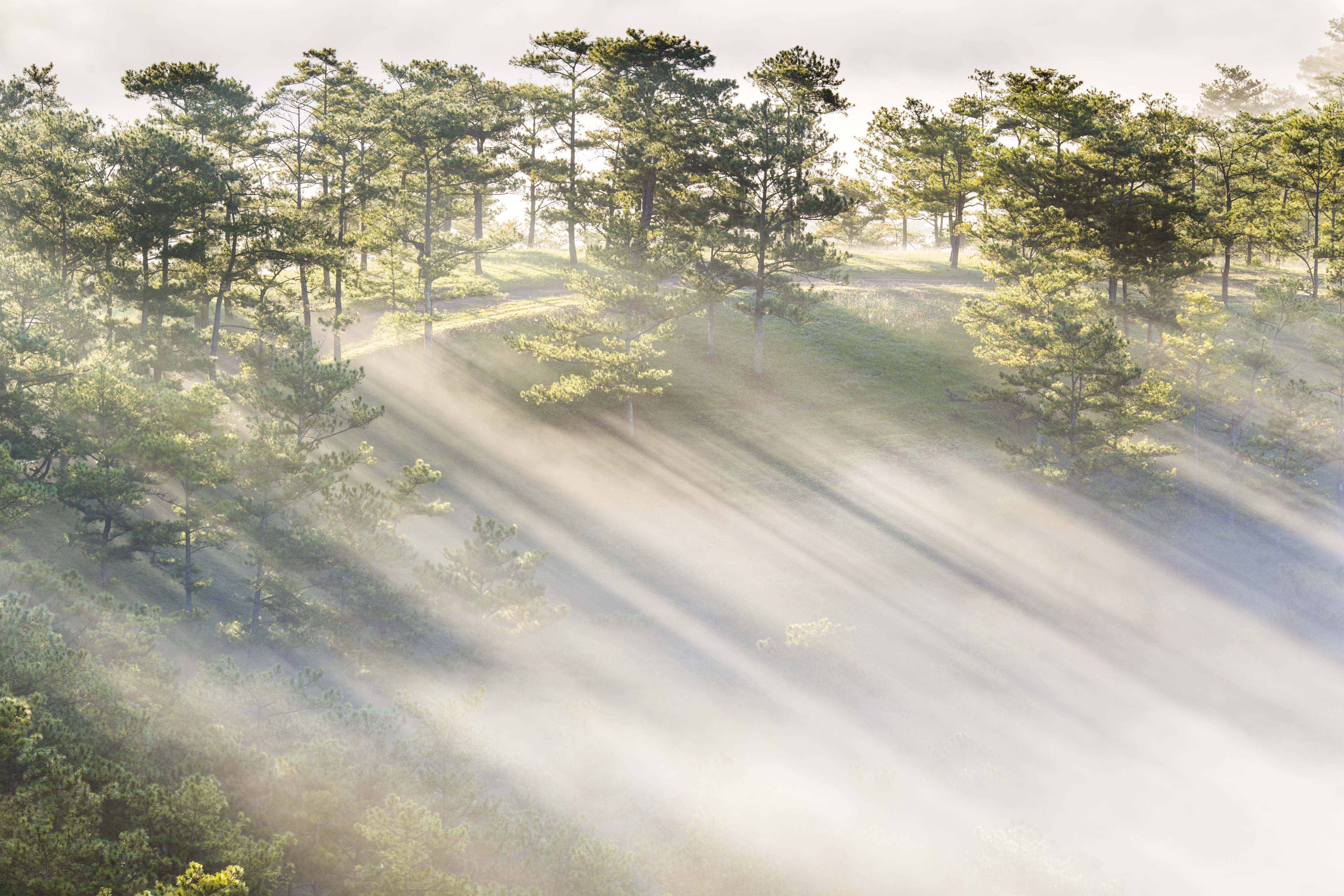 Day tu 3h sang san bien may phu kin Da Lat hinh anh 13 1_18_.jpg