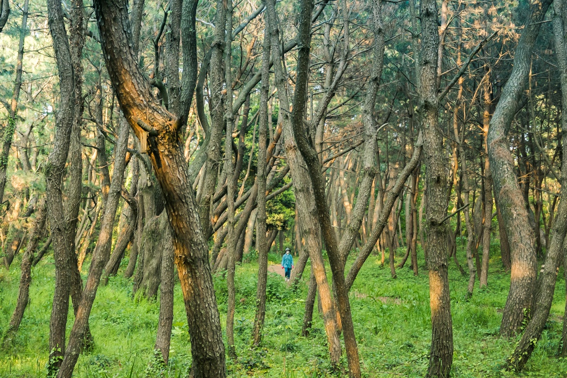 Mot ngay ve tham vung dong que Nhat Ban hinh anh 38 1_40_.jpg