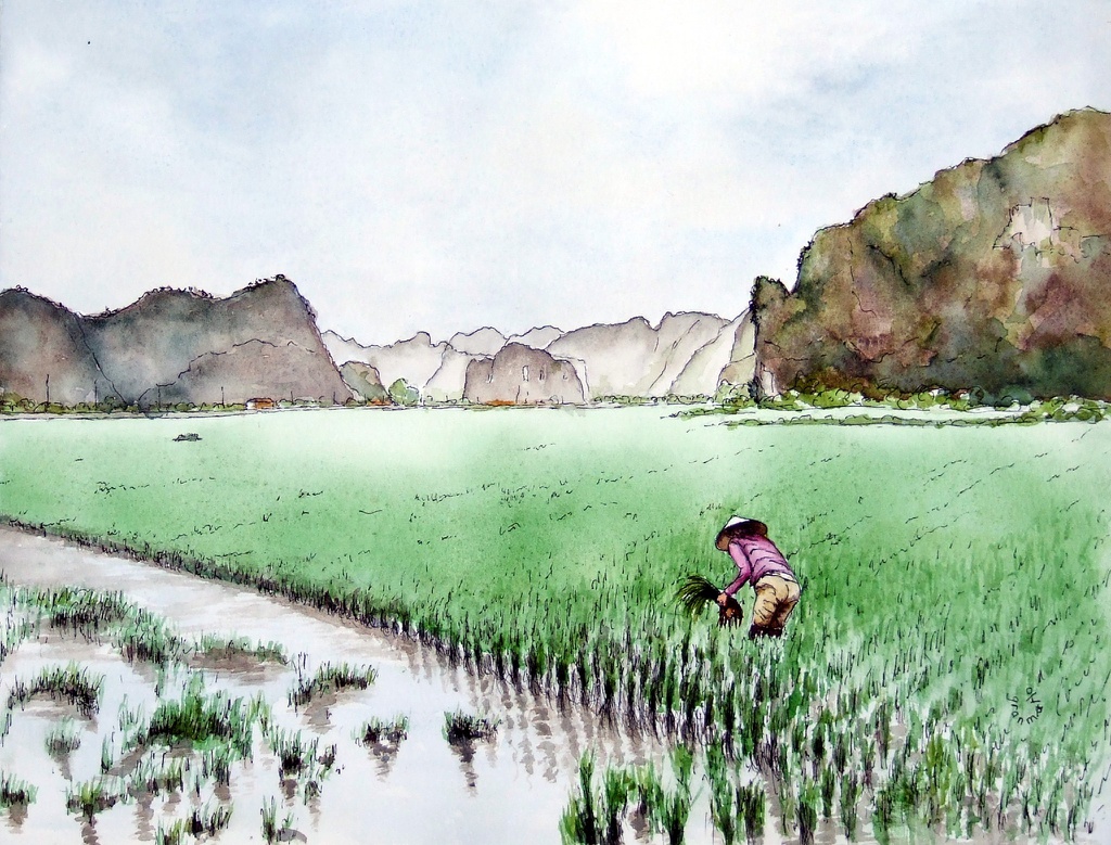 Canh dep Viet Nam tai hien qua tranh ve cua du khach Phap hinh anh 4 2.jpg