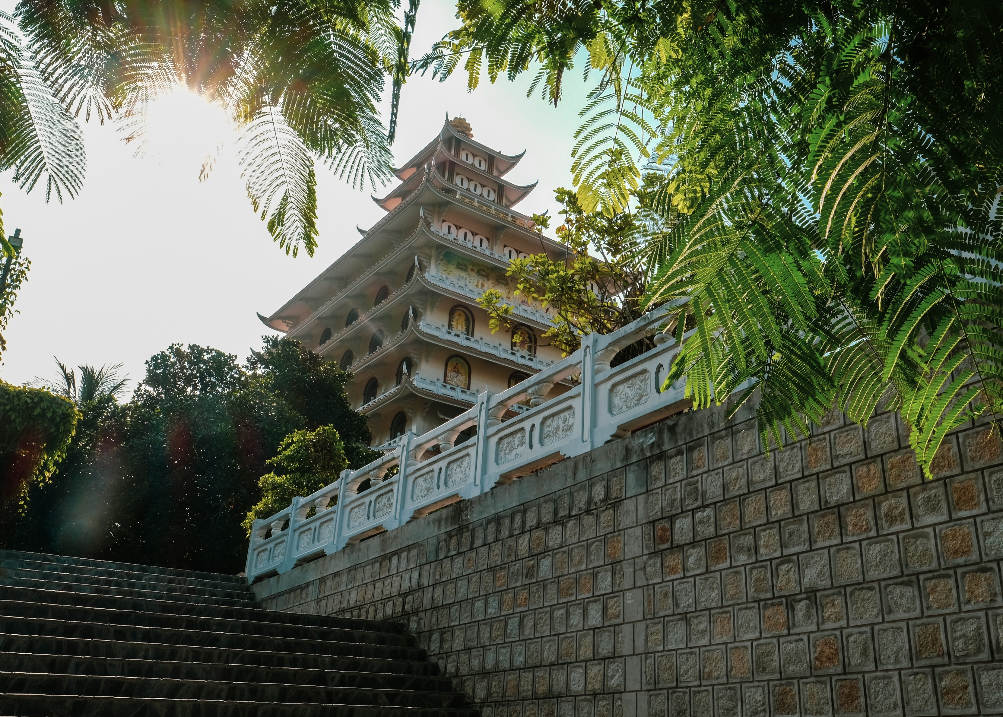 Phai long nhung dieu binh di o manh dat An Giang hinh anh 8 3.1.jpg