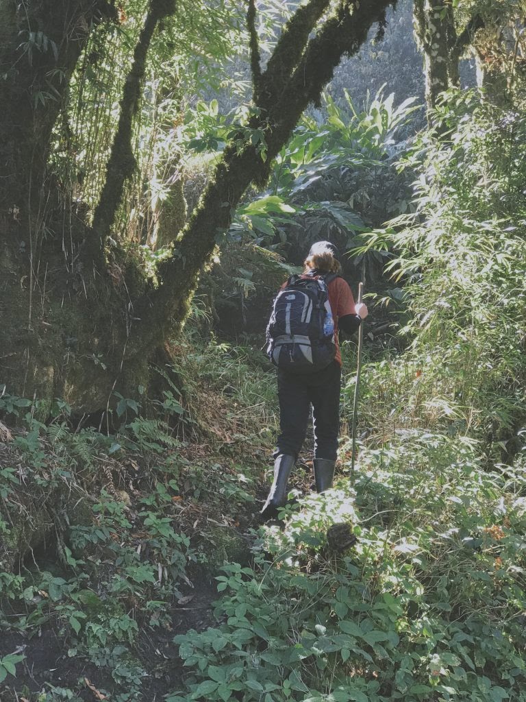 nhiu-co-san-lao-cai