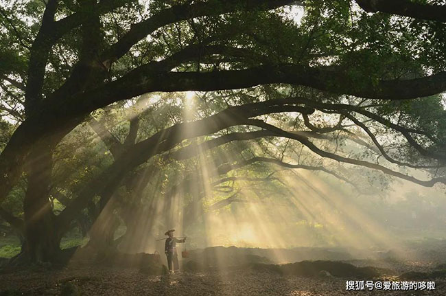 6 địa điểm tuyệt đẹp ở Trung Quốc có thể "chữa bệnh" cho những người đang bị "cuồng chân" sau đợt cách ly - 7