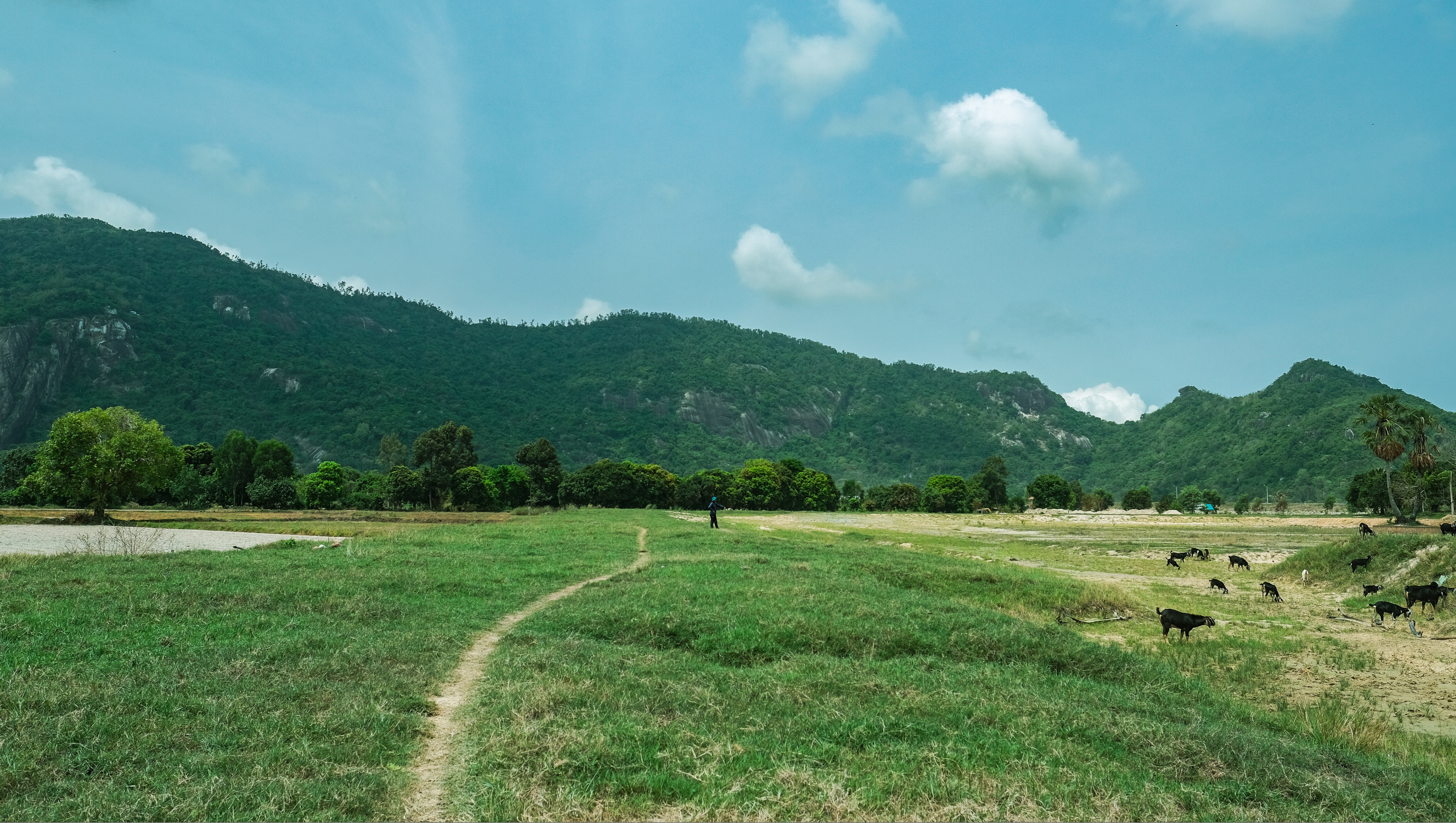 Phai long nhung dieu binh di o manh dat An Giang hinh anh 17 8.1.jpg