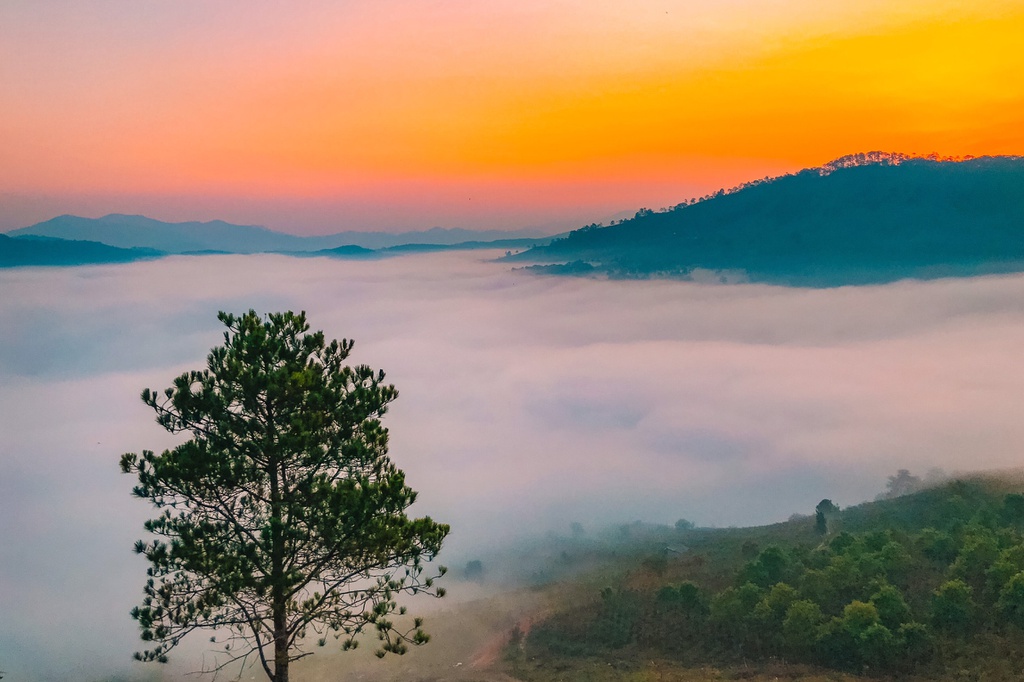 Bien may phu trang nui doi Da Lat chi danh cho nguoi day som hinh anh 8 a49fb9878daa77f42ebb.jpg