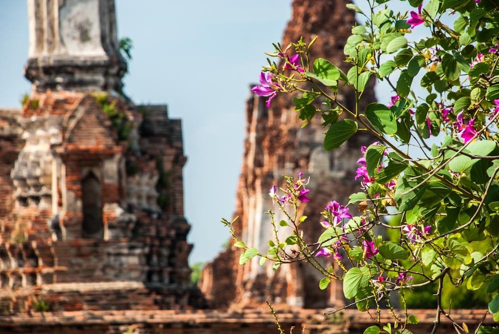 Hè này nhất định phải tới những thành phố hấp dẫn nhất Thái Lan - 3