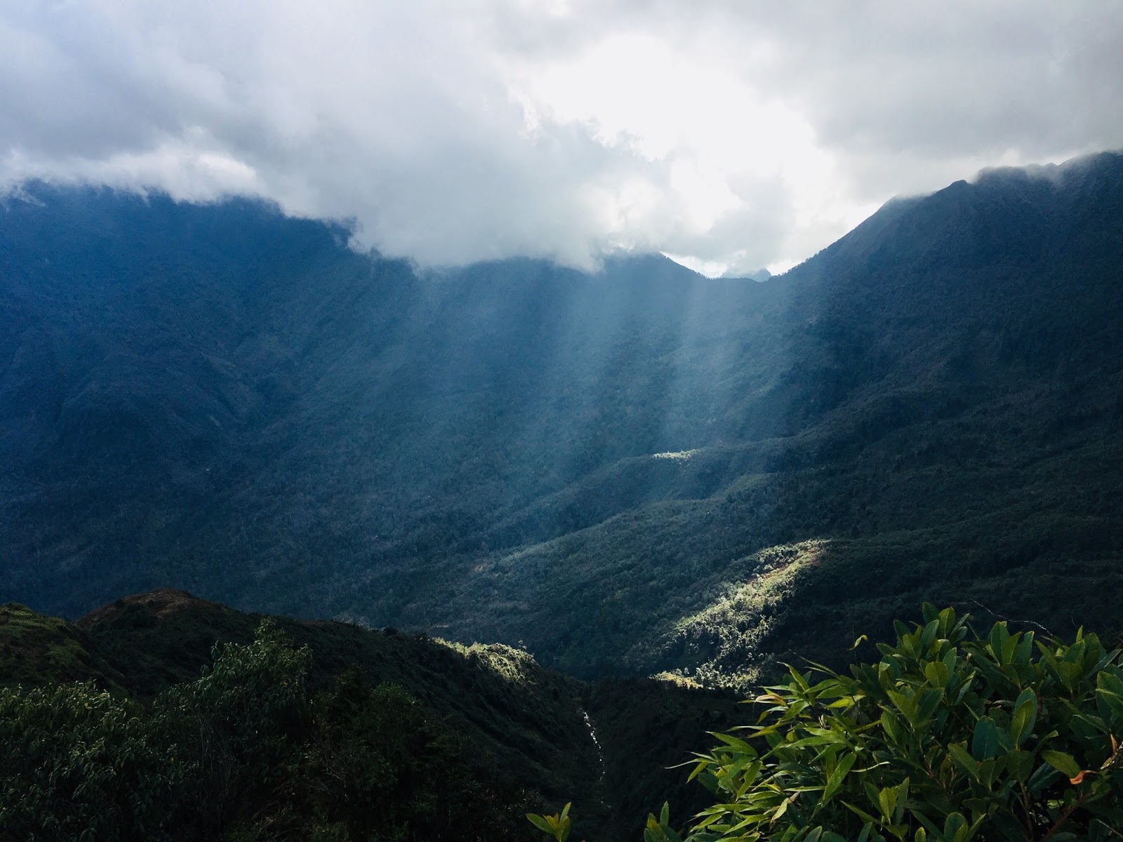 nhiu-co-san-lao-cai