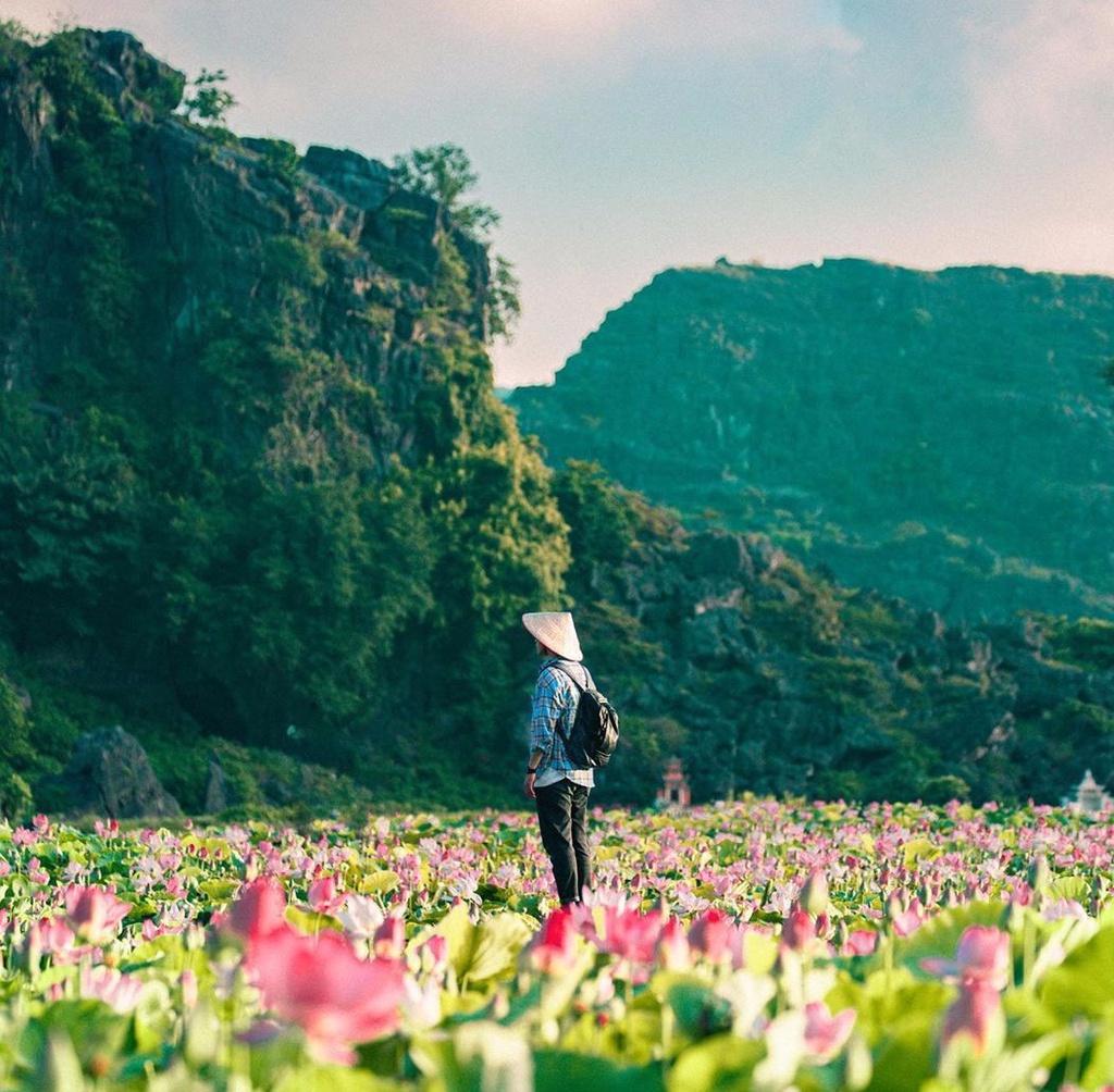 hang Mua Ninh Binh anh 6