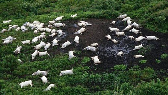 Giải mã bí mật chết người của "nàng thơ Nyos" - hồ nước nguy hiểm nhất thế giới - 4