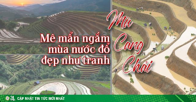 Mê mẩn ngắm Mù Cang Chải mùa nước đổ đẹp như tranh