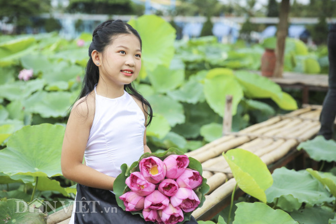 Sen Hồ Tây bung nở, người dân đổ xô tới chụp ảnh đông như trẩy hội - 7