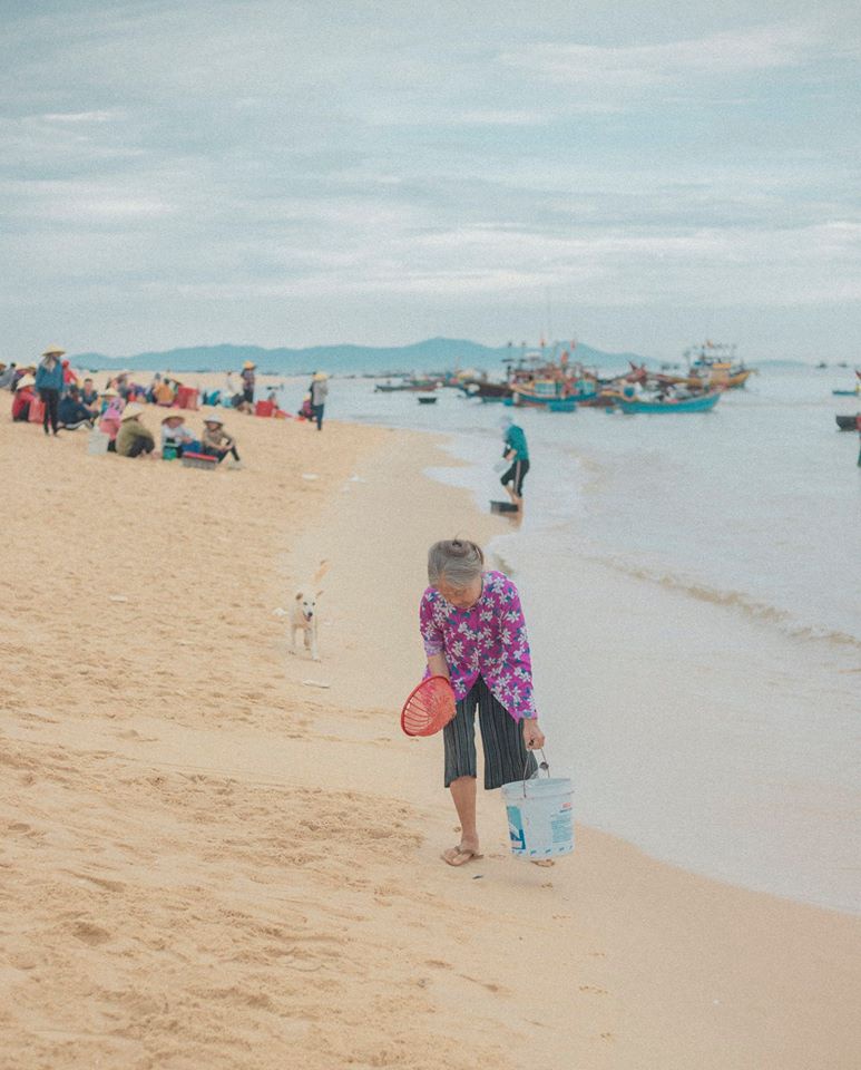 diem check-in tuyet dep o Quang Binh anh 11