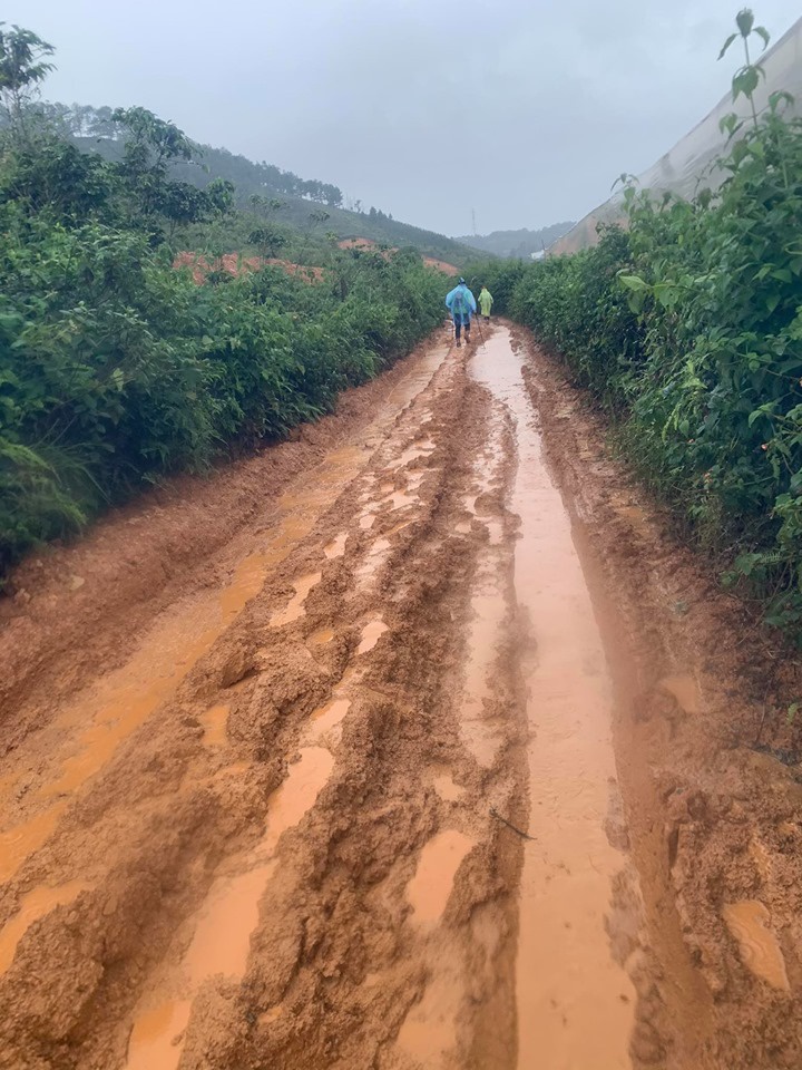 mua lu o da lat anh 3