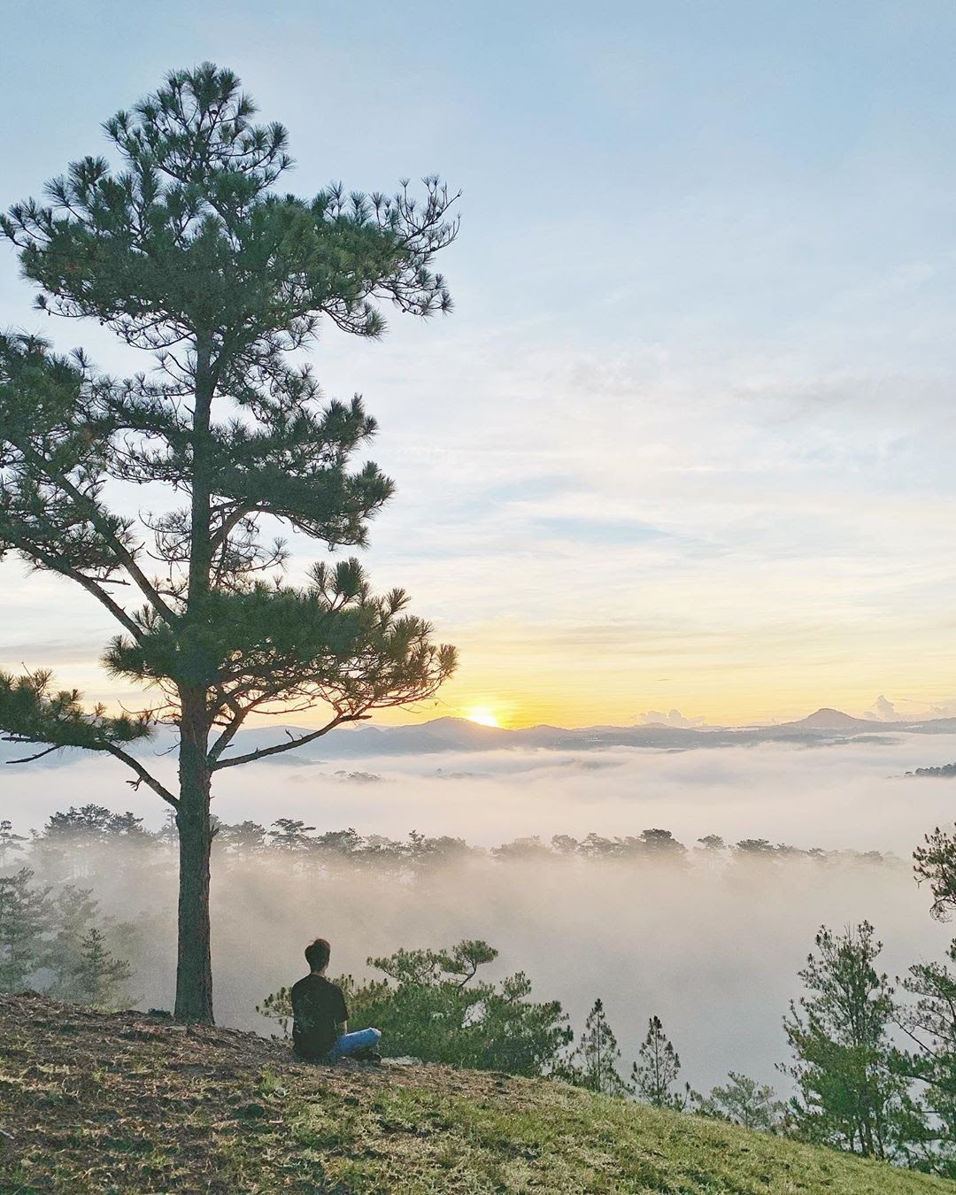 cac-ngon-doi-tai-da-lat