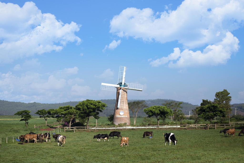 Da Lat anh 4