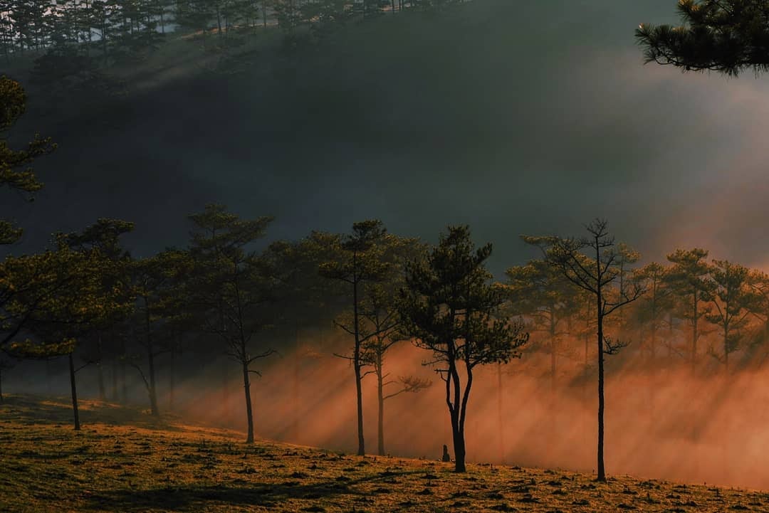 cac-ngon-doi-tai-da-lat