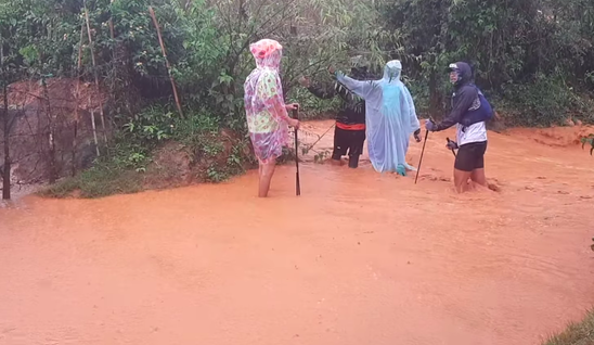 lu cuon o da lat anh 2