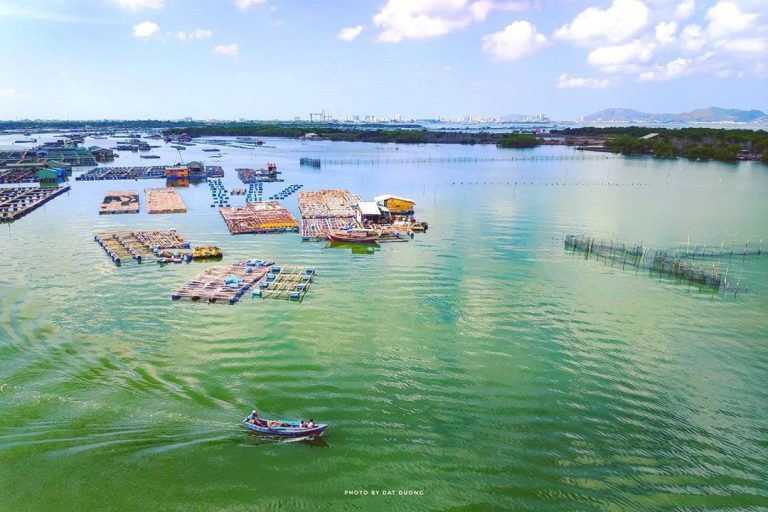 Du lịch Vũng Tàu 2 ngày 1 đêm, ăn – chơi gì cho sang – xịn – mịn?