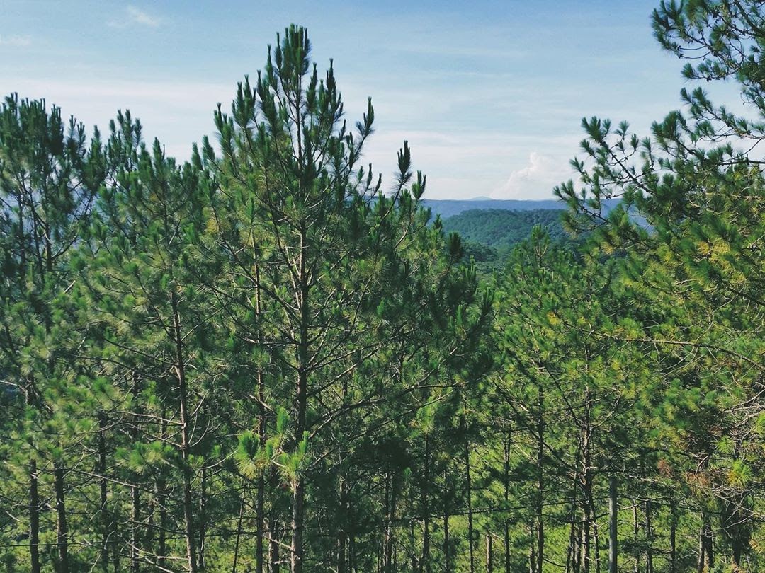 cac-ngon-doi-tai-da-lat