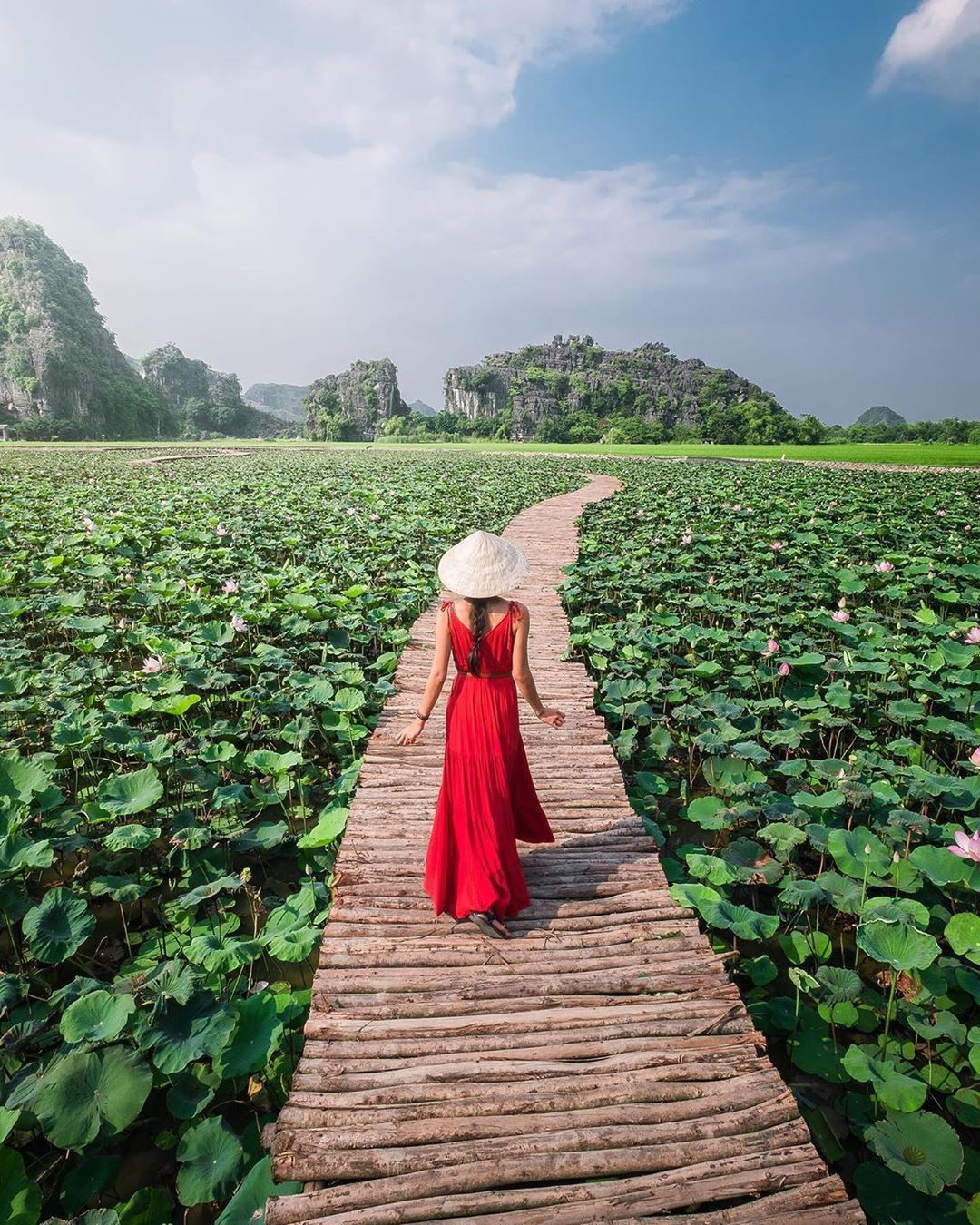 mua-sen-hang-mua-ninh-binh