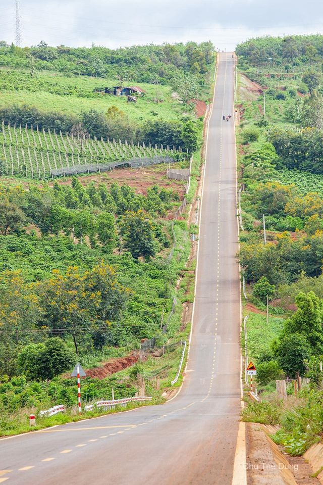 duong tranh gia lai anh 1