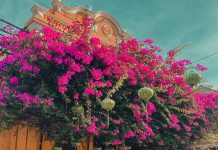 Những điều phải làm trong 24 giờ trải nghiệm Hội An kham pha Hoi An trong mot ngay anh 1