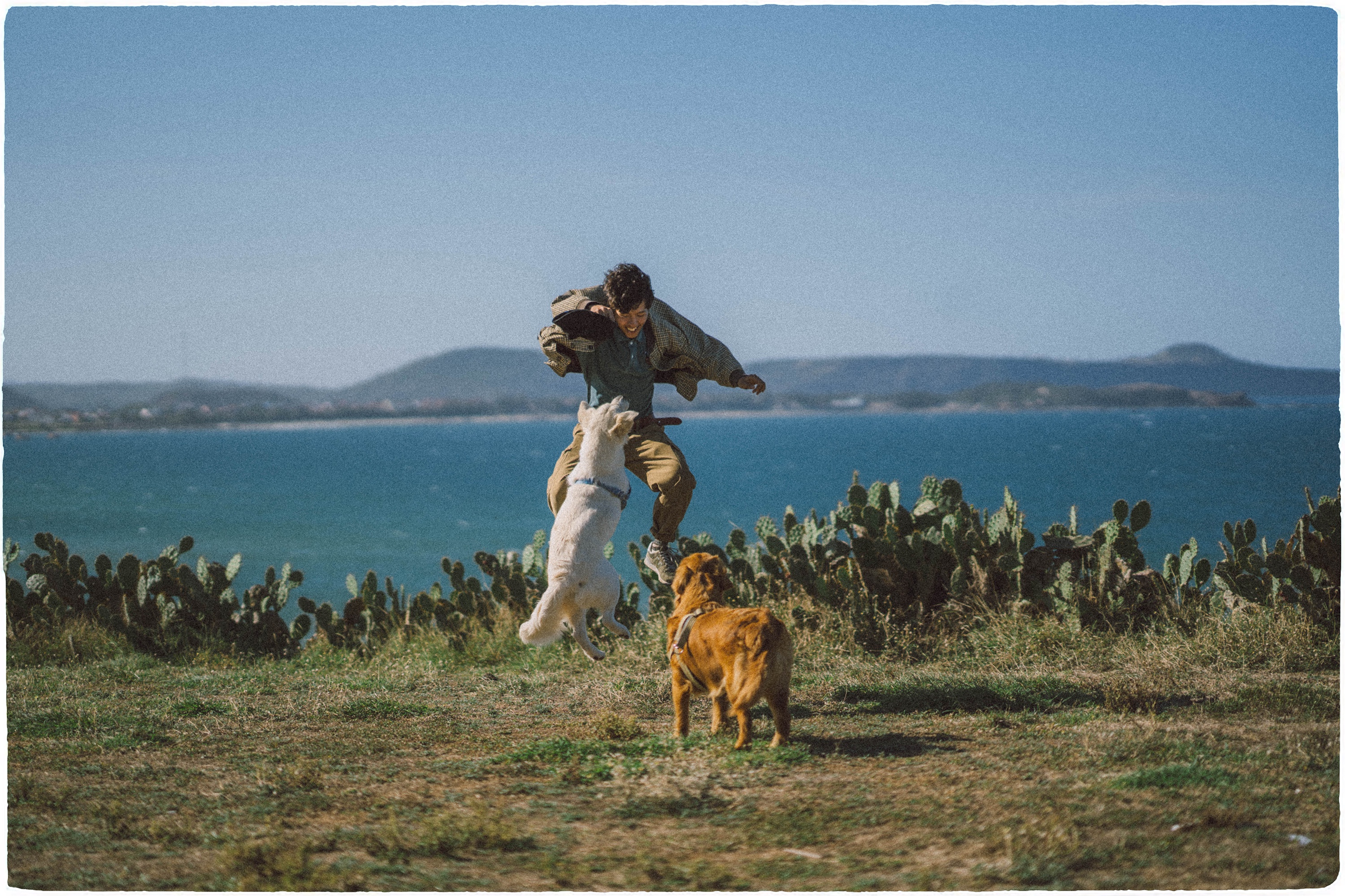 Quy Nhon Phu Yen trong anh check-in anh 2