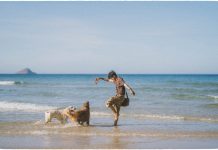 4 ngày 3 đêm khám phá xứ hoa vàng trên cỏ xanh cùng cún cưng