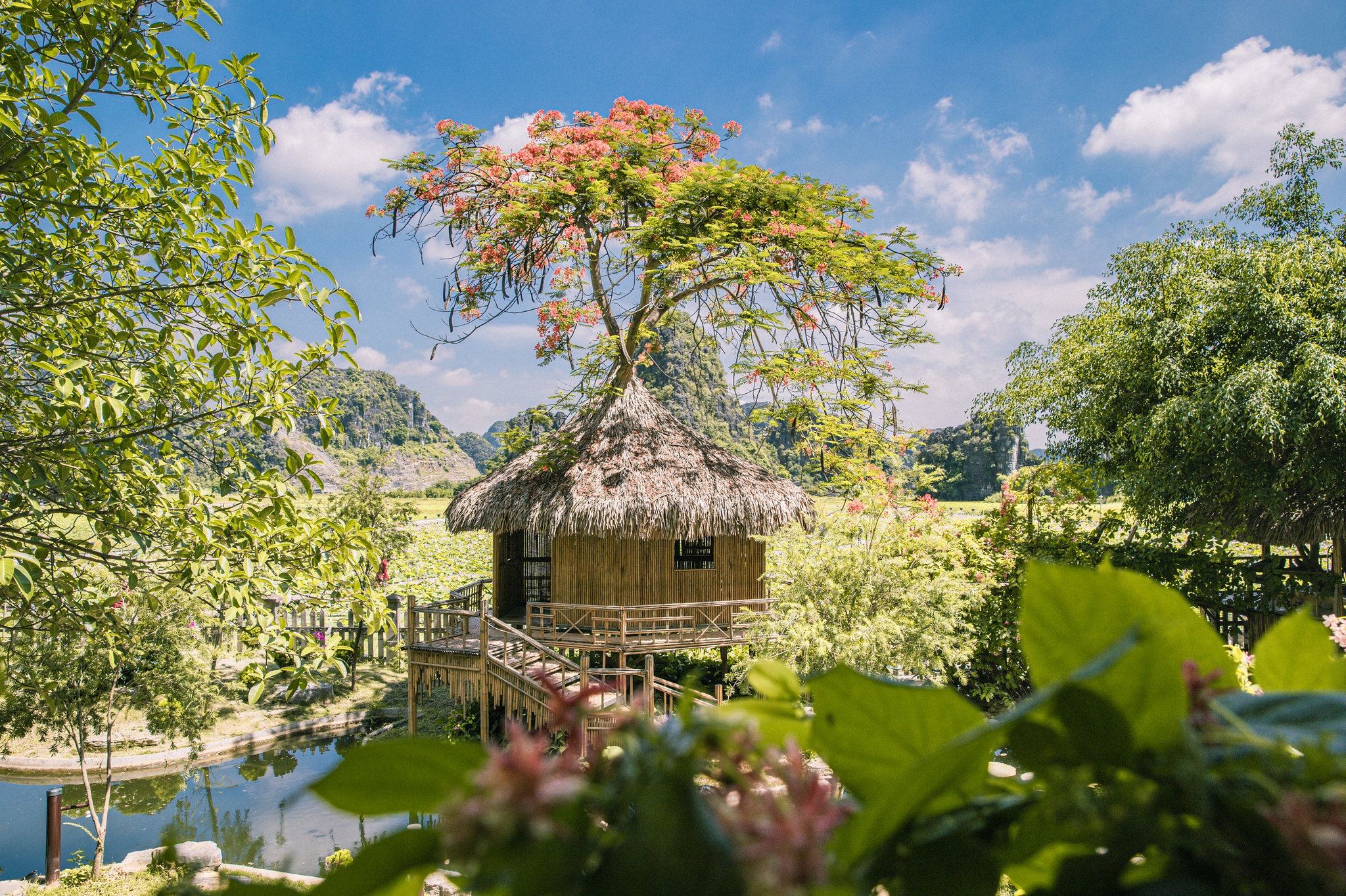 Ninh Binh anh 11