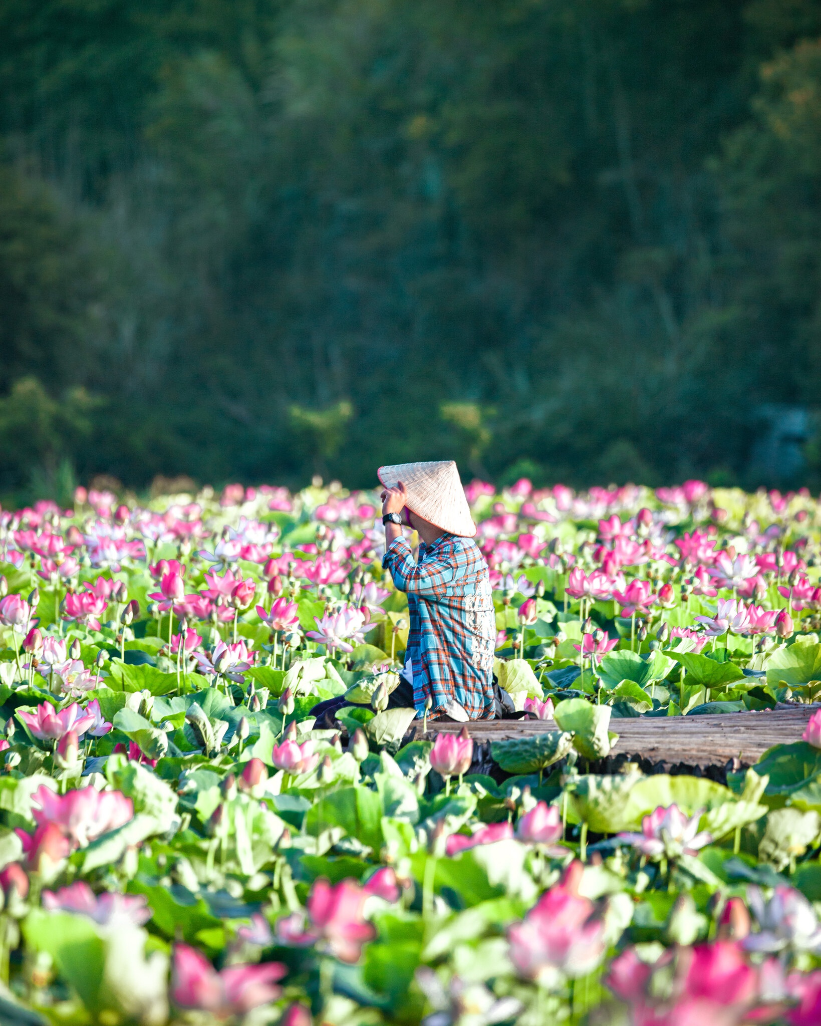 Ninh Binh anh 19