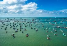 Phú Quốc và loạt điểm ngắm san hô đẹp nhất Việt Nam diem ngam san ho Viet Nam anh 1