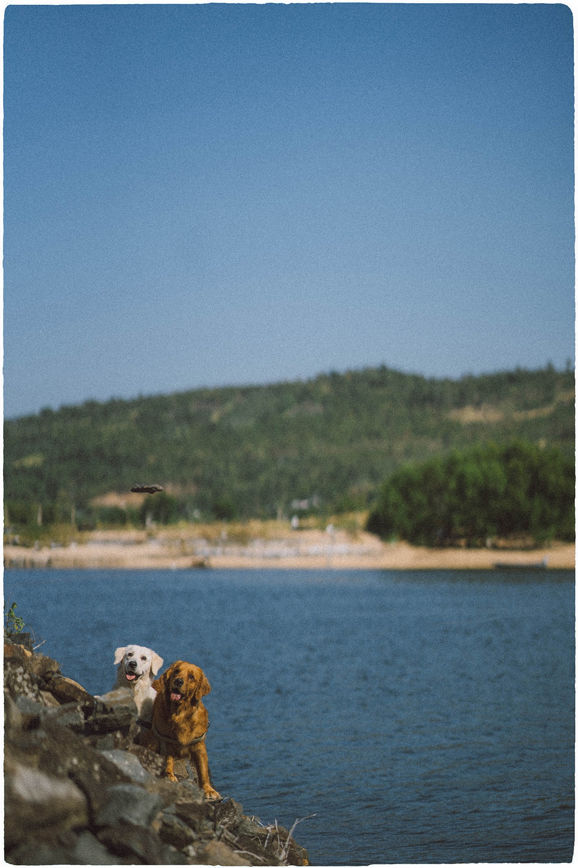 Quy Nhon Phu Yen trong anh check-in anh 4