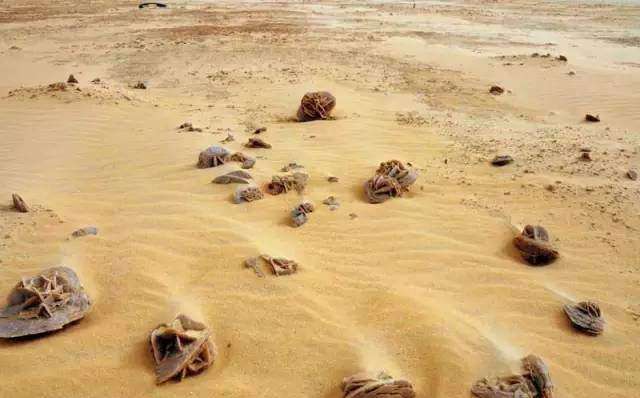 Đến sa mạc nhìn thấy những hòn đá này thì nhớ nhặt, nếu không sau này bạn sẽ rất tiếc - 2