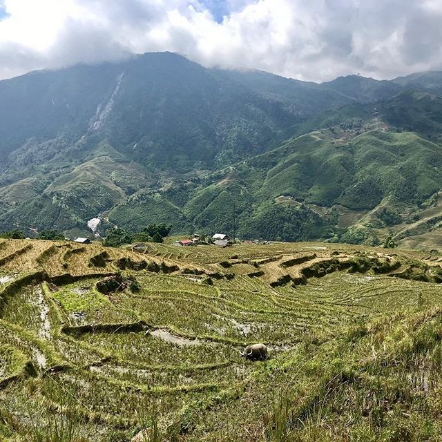 kinh-nghiem-du-lich-sapa