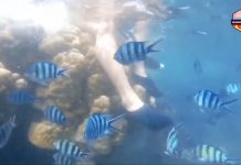 Quang Vinh bị chỉ trích vì ngồi lên san hô ở Phú Quốc quang vinh du lich anh 1