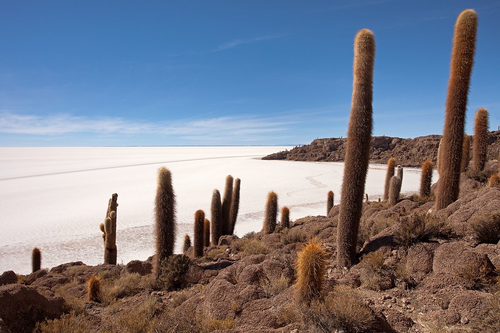 canh dong muoi Salar de Uyuni anh 4