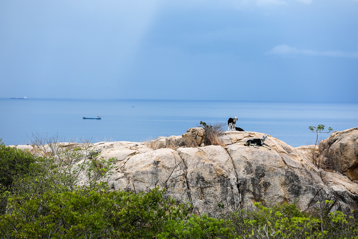 Du lich Binh Thuan anh 23