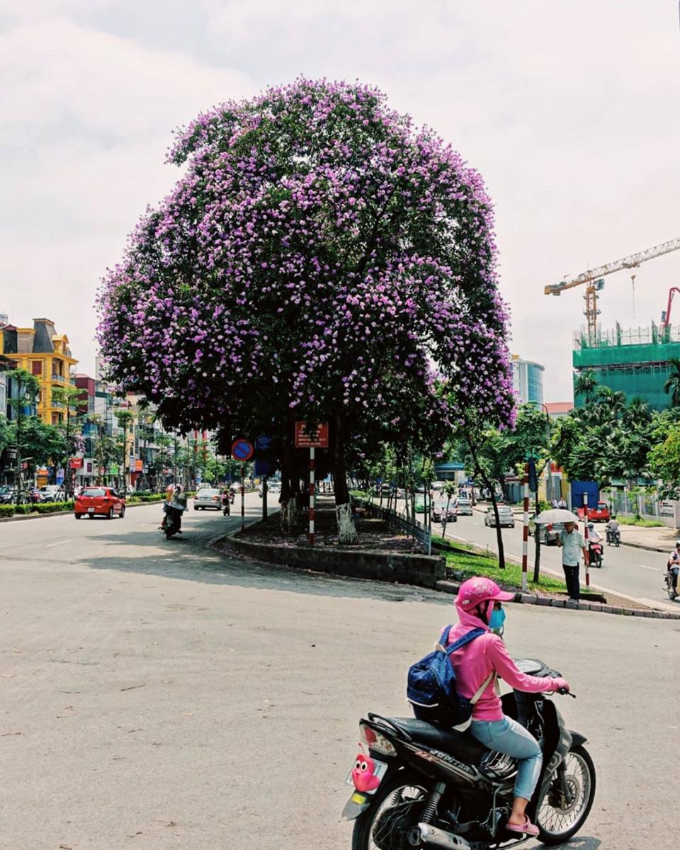 du-lich-ha-noi-1-ngay