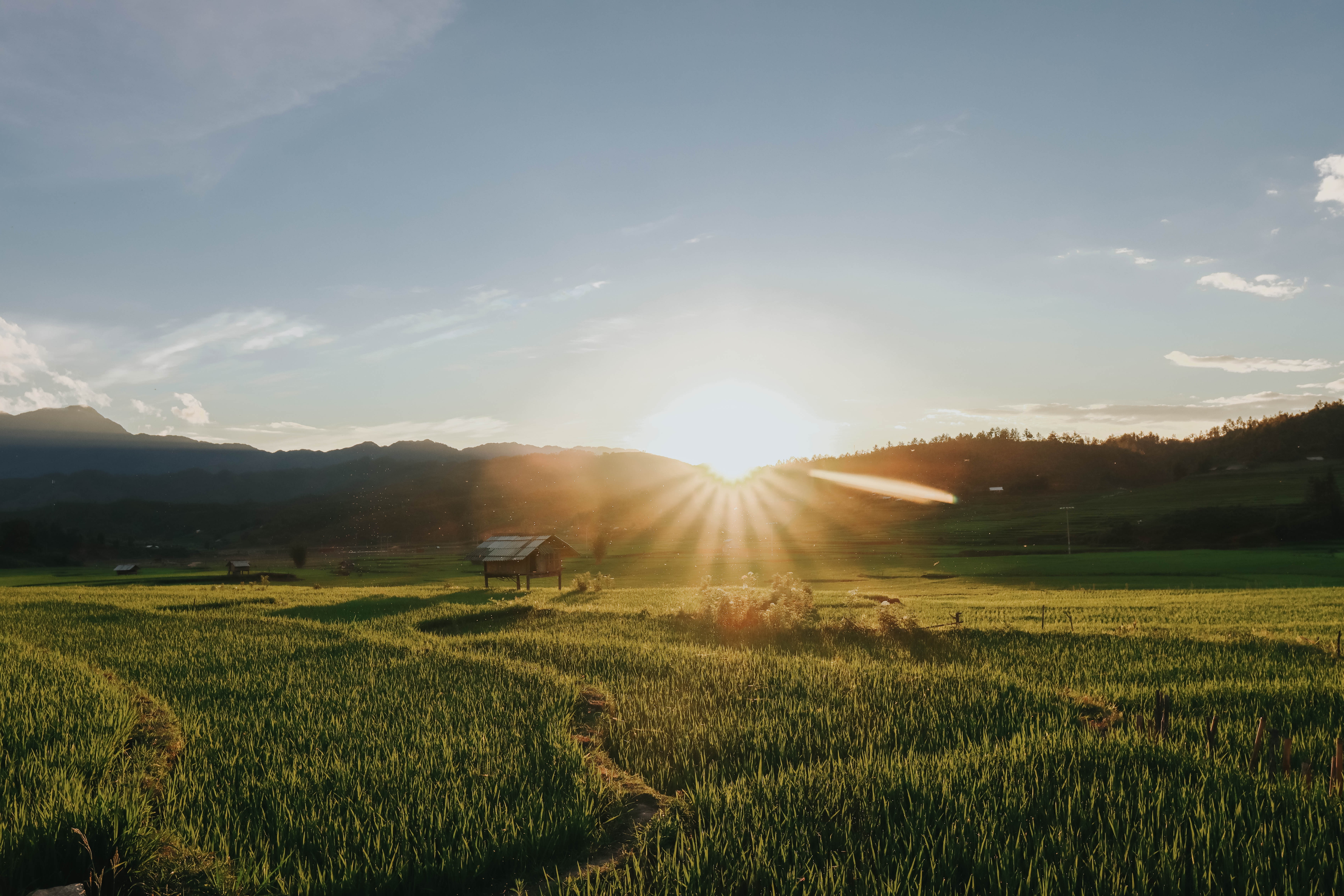 du lich mu cang chai anh 7