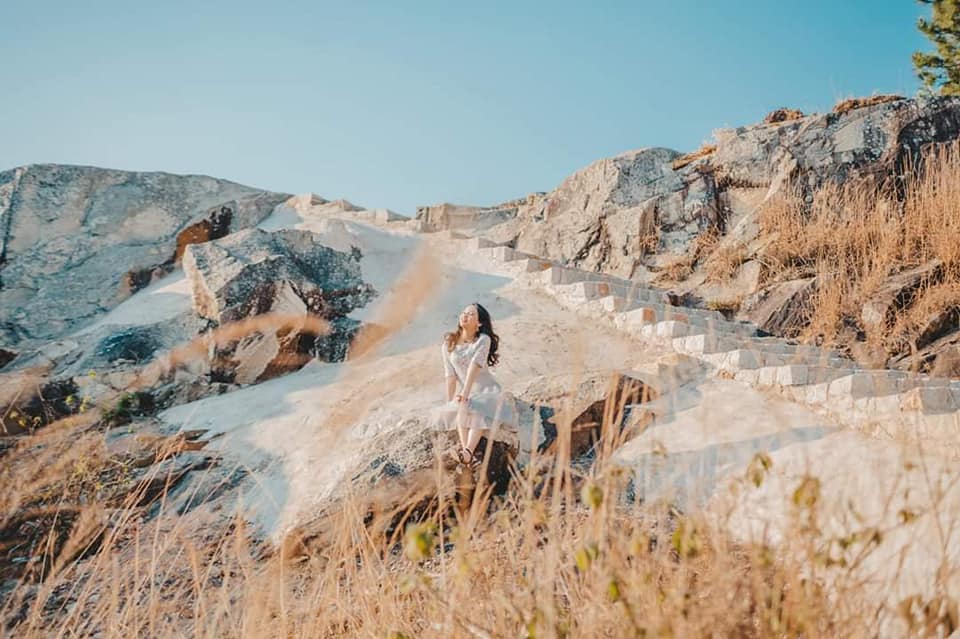 ixora-da-lat