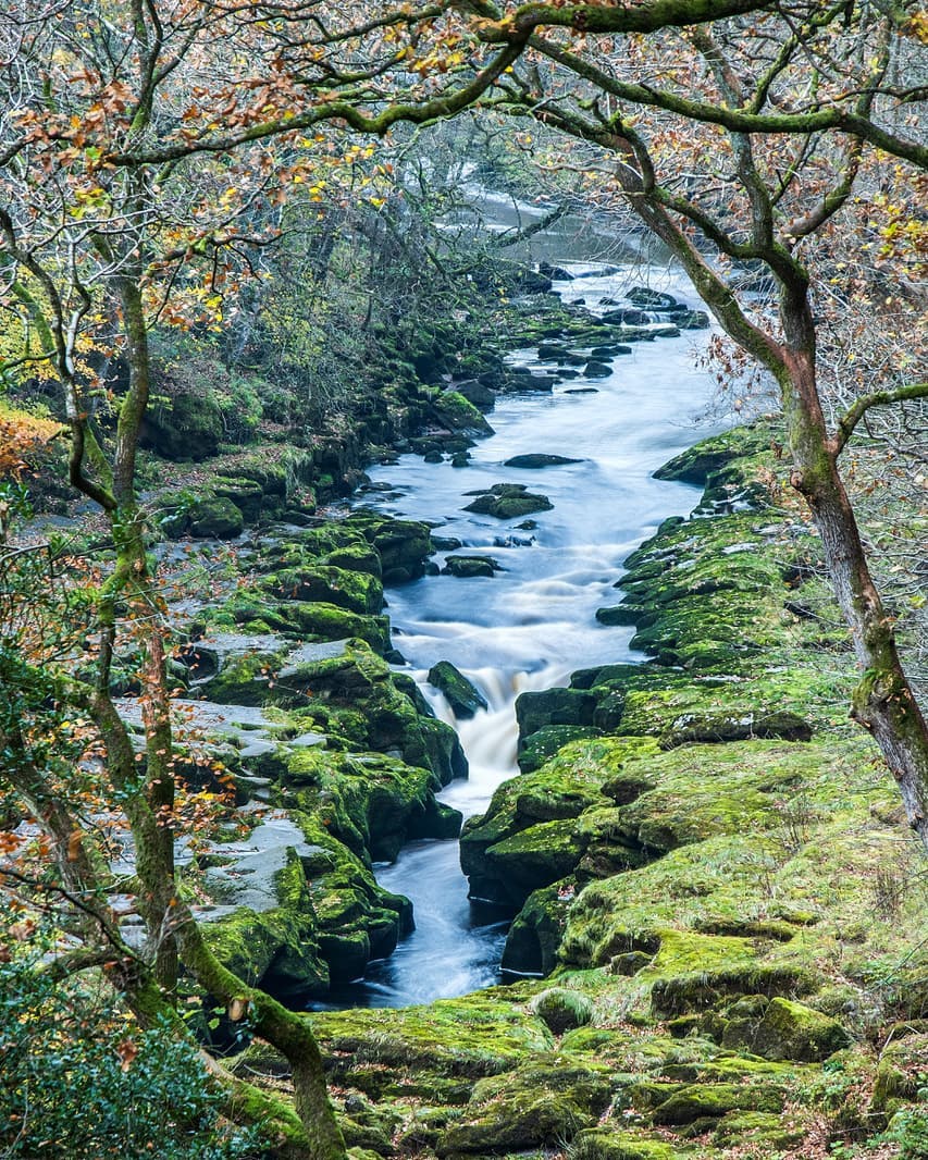 Bolton Strid anh 2