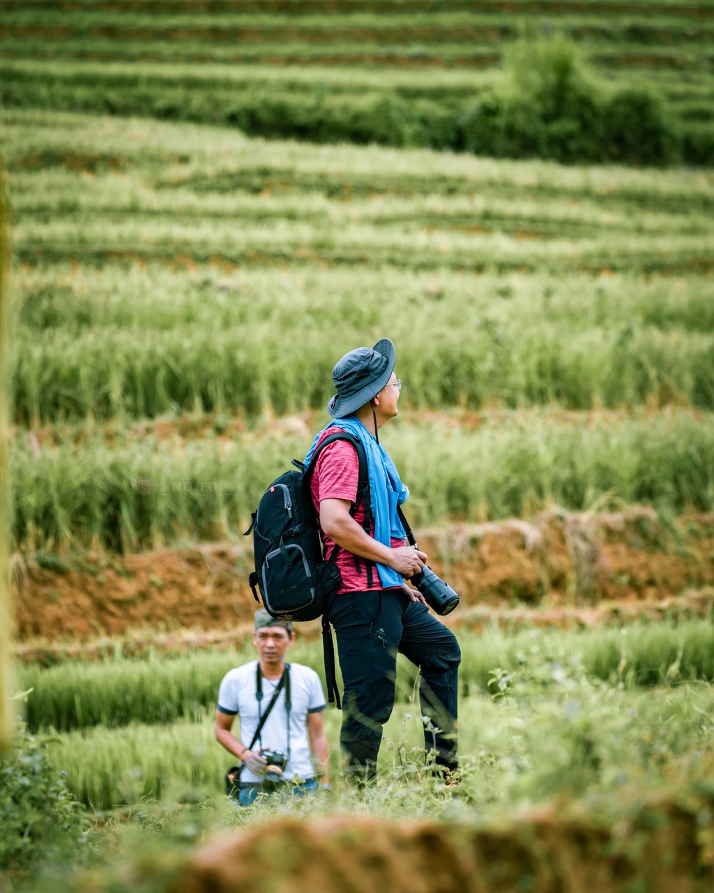 Mu cang chai anh 5