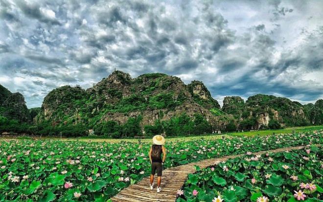 Ngỡ ngàng hồ sen nở rộ giữa Thu ở Hang Múa (Ninh Bình), giới trẻ tha hồ chụp ảnh “sống ảo“ - 8