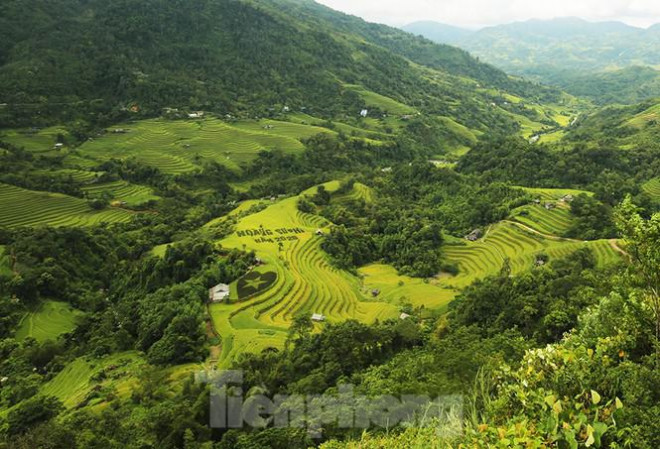 Ngất ngây áng mây bay trên những thửa ruộng bậc thang chín vàng ở Hà Giang - 1