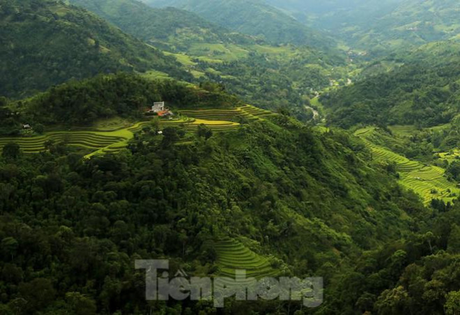 Ngất ngây áng mây bay trên những thửa ruộng bậc thang chín vàng ở Hà Giang - 2