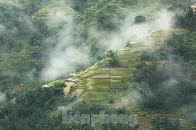 Ngất ngây áng mây bay trên những thửa ruộng bậc thang chín vàng ở Hà Giang - 11