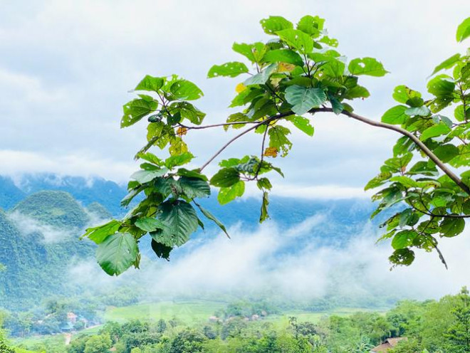 Đi săn mây ở Pù Luông, địa điểm sống ảo cho dân mê xê dịch - 2