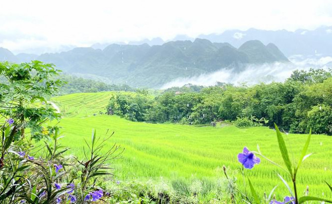 Đi săn mây ở Pù Luông, địa điểm sống ảo cho dân mê xê dịch - 7