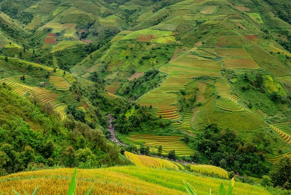 mua vang tren reo cao Son La anh 2