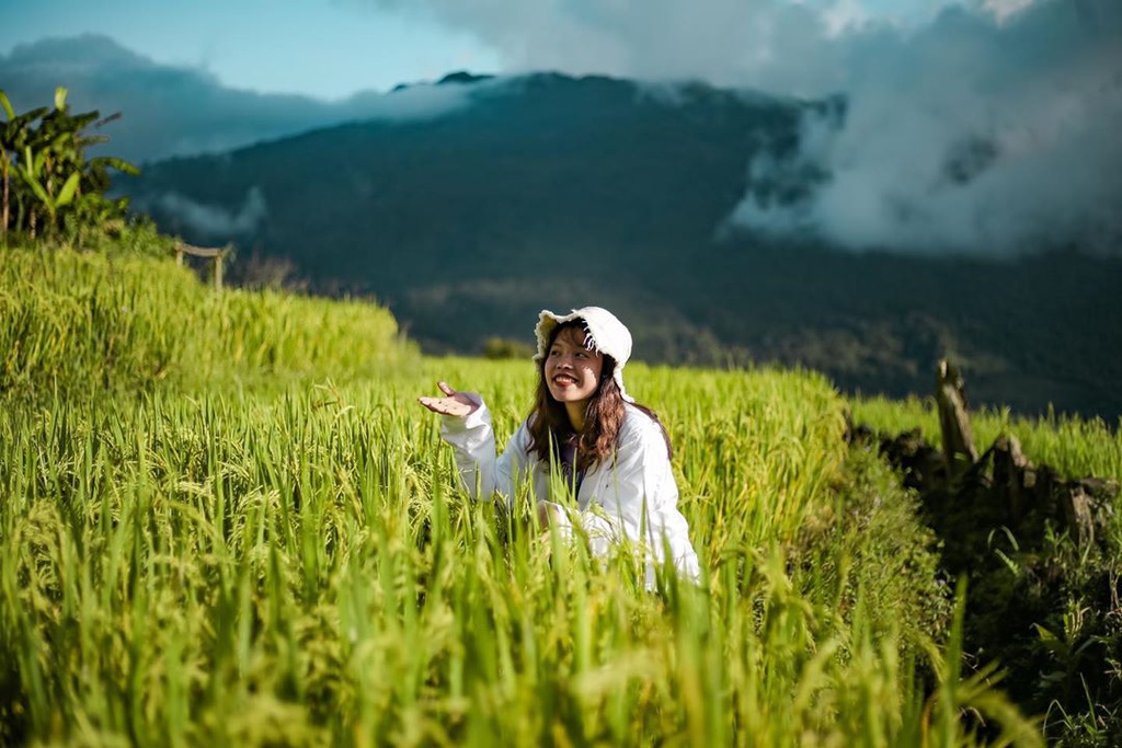 lua chin mien Bac anh 2